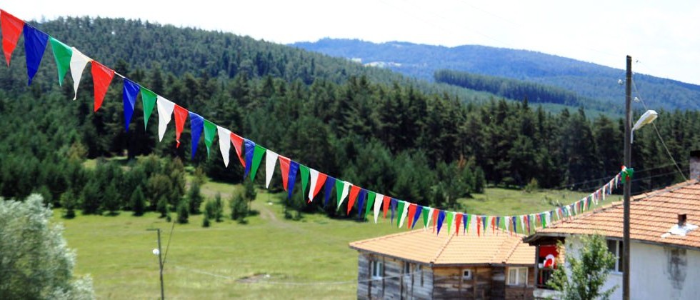 senlik2011-8