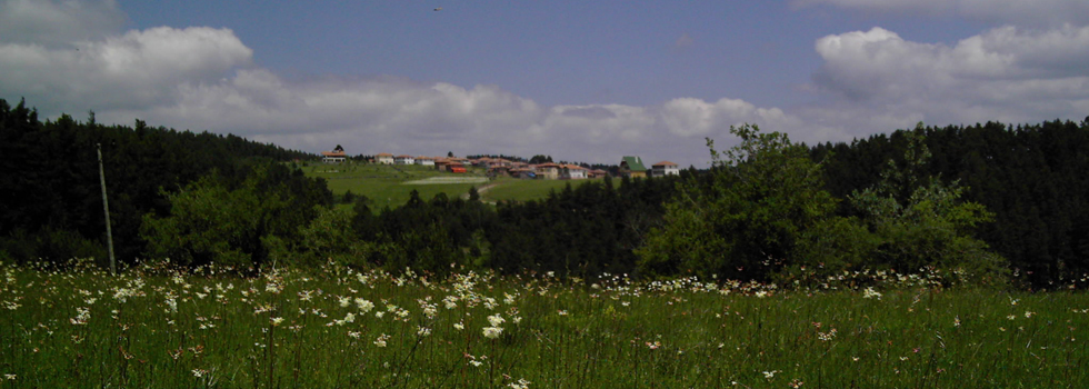 DSCI0080.JPG